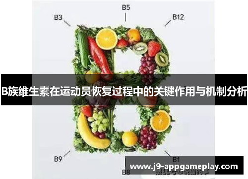 B族维生素在运动员恢复过程中的关键作用与机制分析